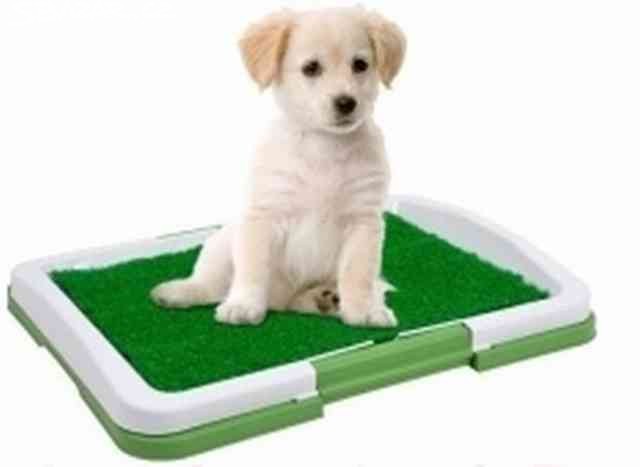 Psí toaleta Potty Pad 