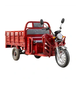 Pracovní tříkolka rikša Cargo E-DSL100 - 2025 60V 45Ah -1200W