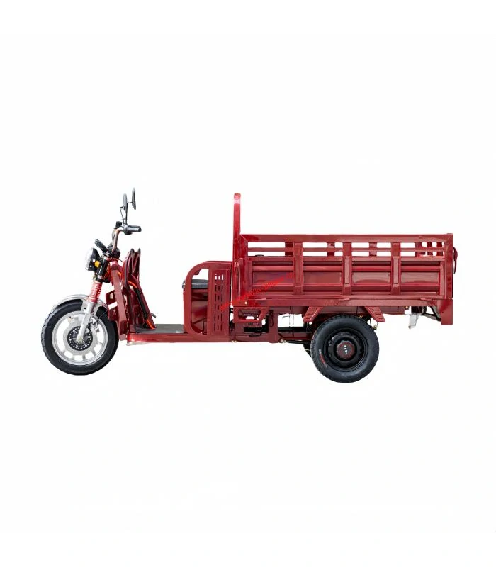 Pracovní tříkolka rikša Cargo E-DSL100 - 2025 60V 45Ah -1200W